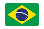 brazil-flag